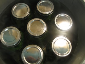 jars loaded in all american canner for canning collards