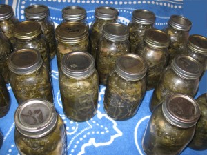 canning collards