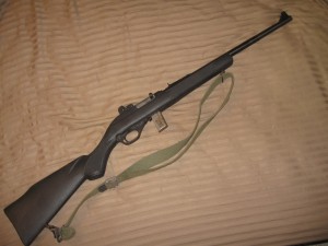 Liberty Training Rifle or LTR