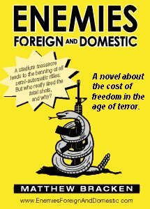 Enemies Foreign and Domestic Book Cover