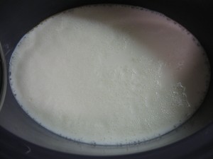 crockpot yogurt milk