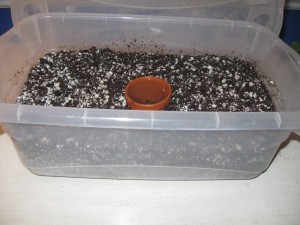 cheap propagation box