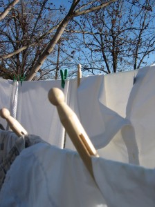 backyard clotheslines_Wooden_clothes_pin