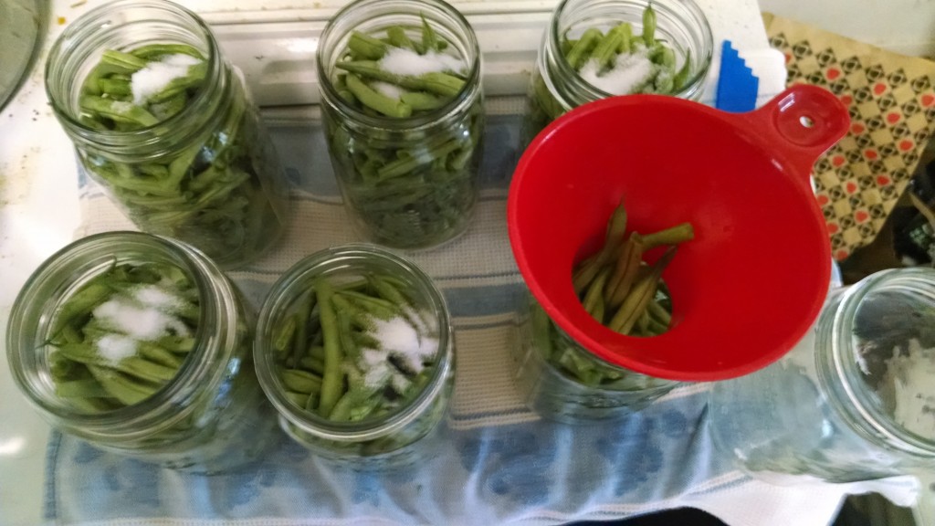 Canning Green Beans 2 of 3