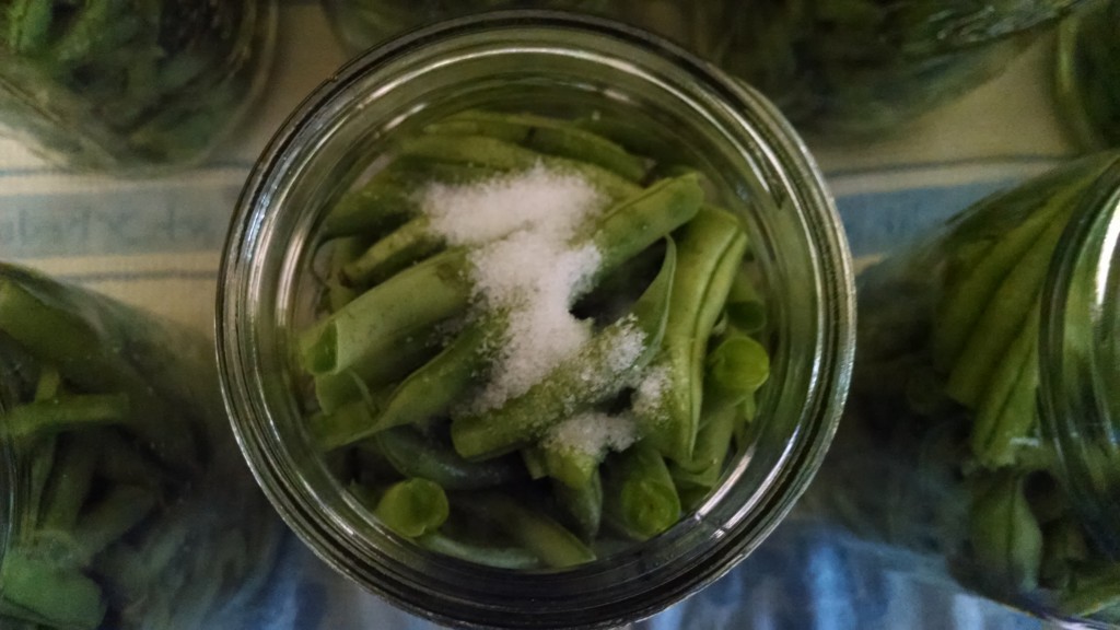 Canning Green Beans 3 of 3