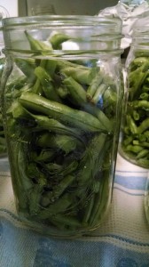 Canning Green Beans 1 of 3