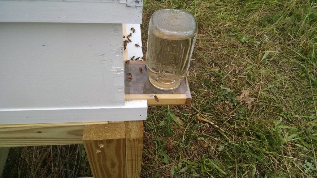 picture of bee hive with boardman feeder