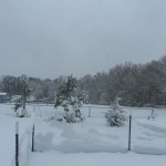Christmas in Dixie