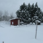 Snowy Landscape scene like Tennessee Christmas