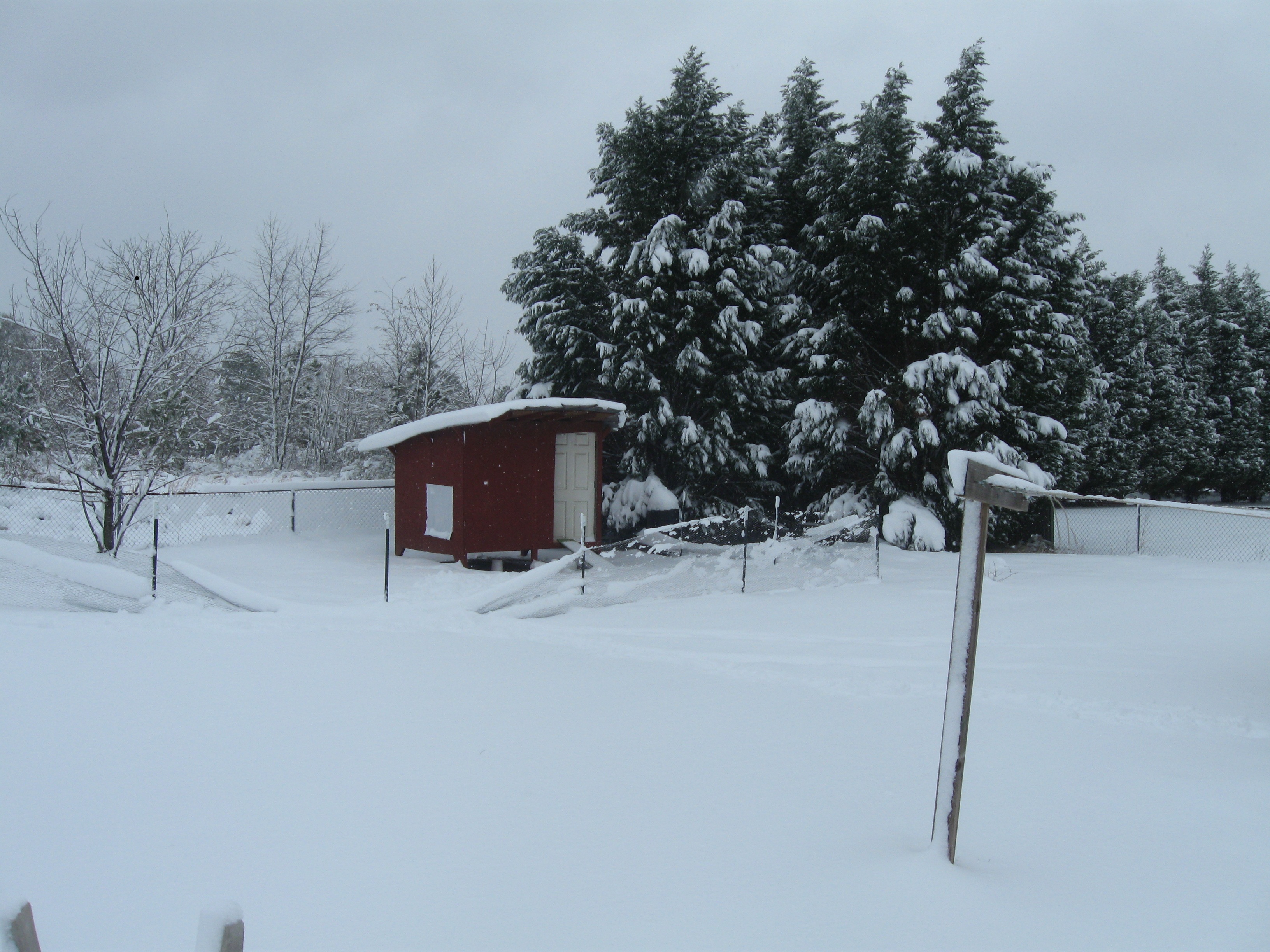 Snowy Landscape scene like Tennessee Christmas