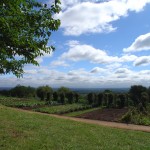 Thomas_Jefferson_garden_at_Monticello