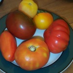 tomato_prep