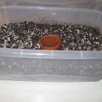 cheap propagation box