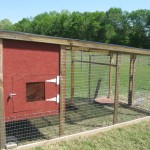 Chicken Tractor