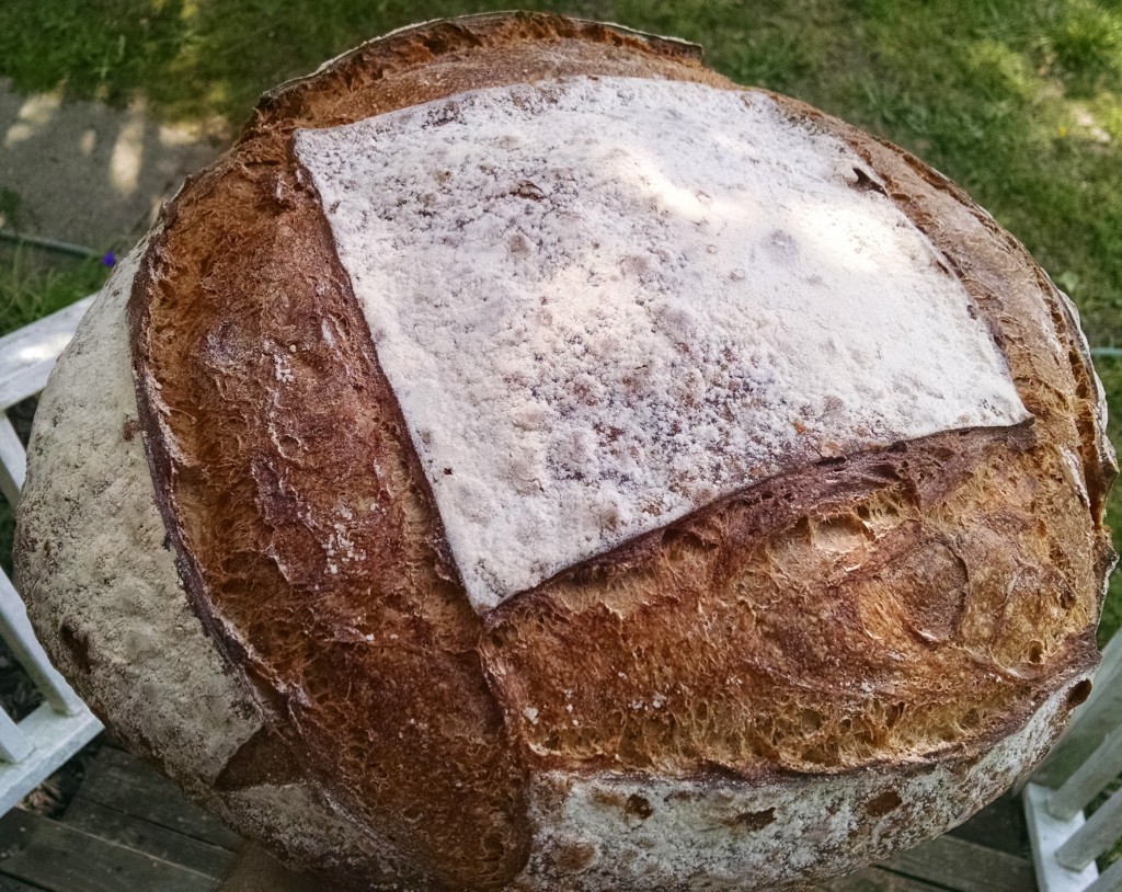 SOurdough Bread