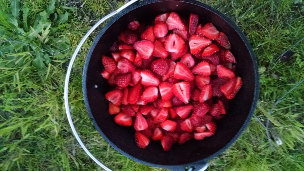 Strawberries in a Dutch Oven for strawberry cobbler via dutch oven