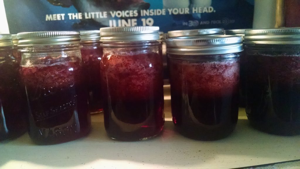 Pints of Strawberry Jam preserved via Water bath Canning